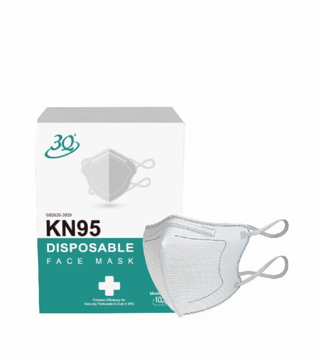 KN95 Face Mask (9505H)
