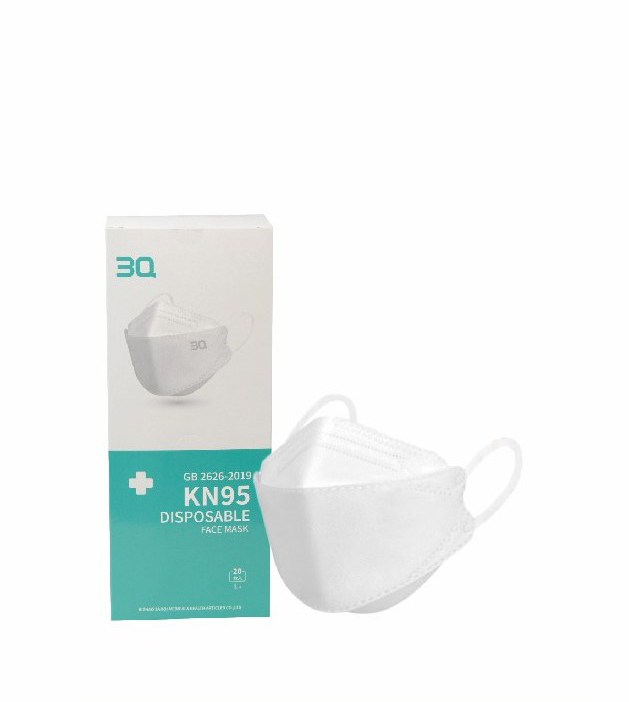 KN95 Face Mask (9510)