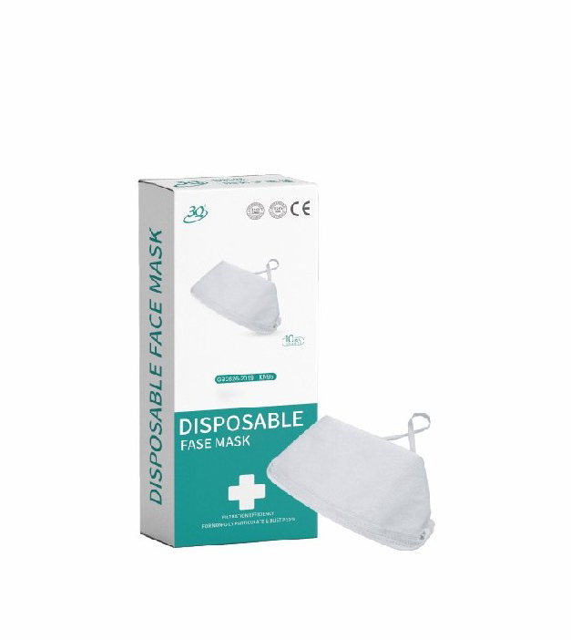 KN95 Face Mask (9510H)