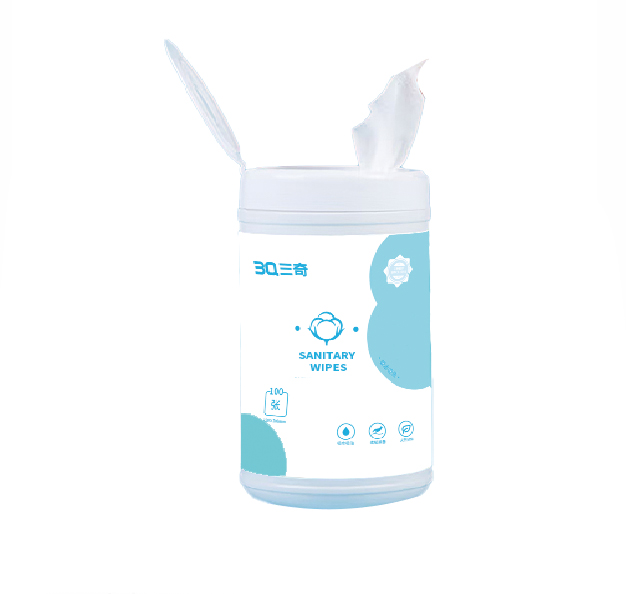 Wet Wipes (15×19cm, 15×20cm) — 20pcs